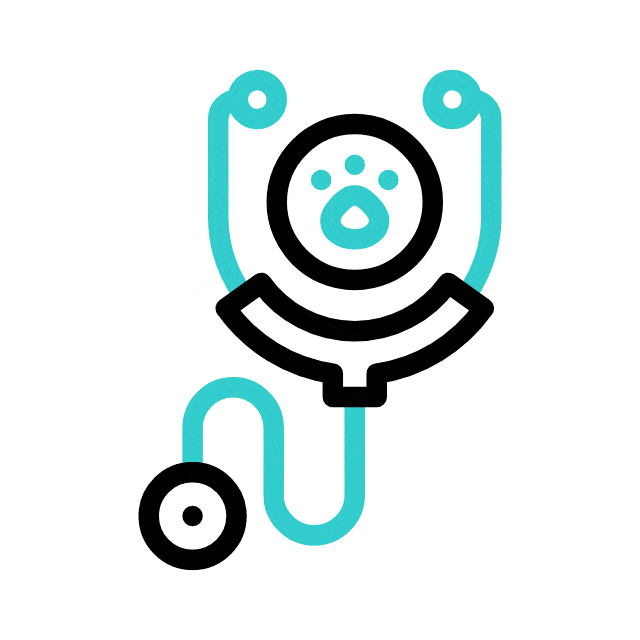 Internal Medicine